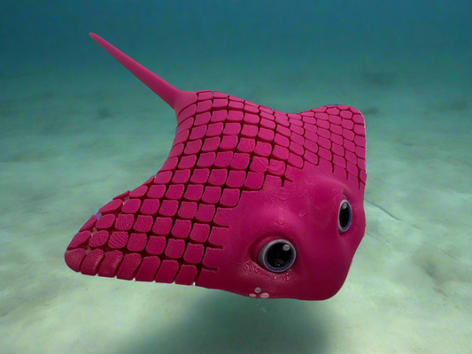 Manta-Ray Fidget