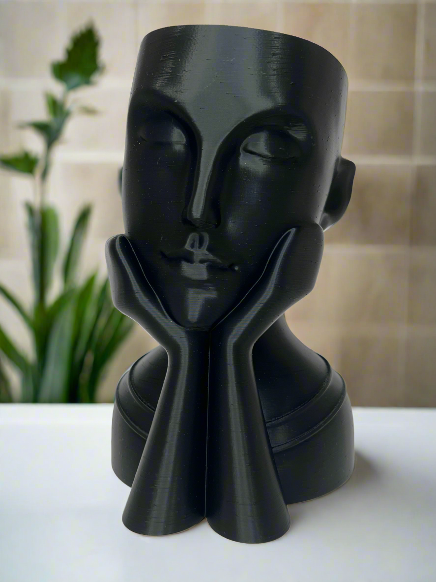 Face vase