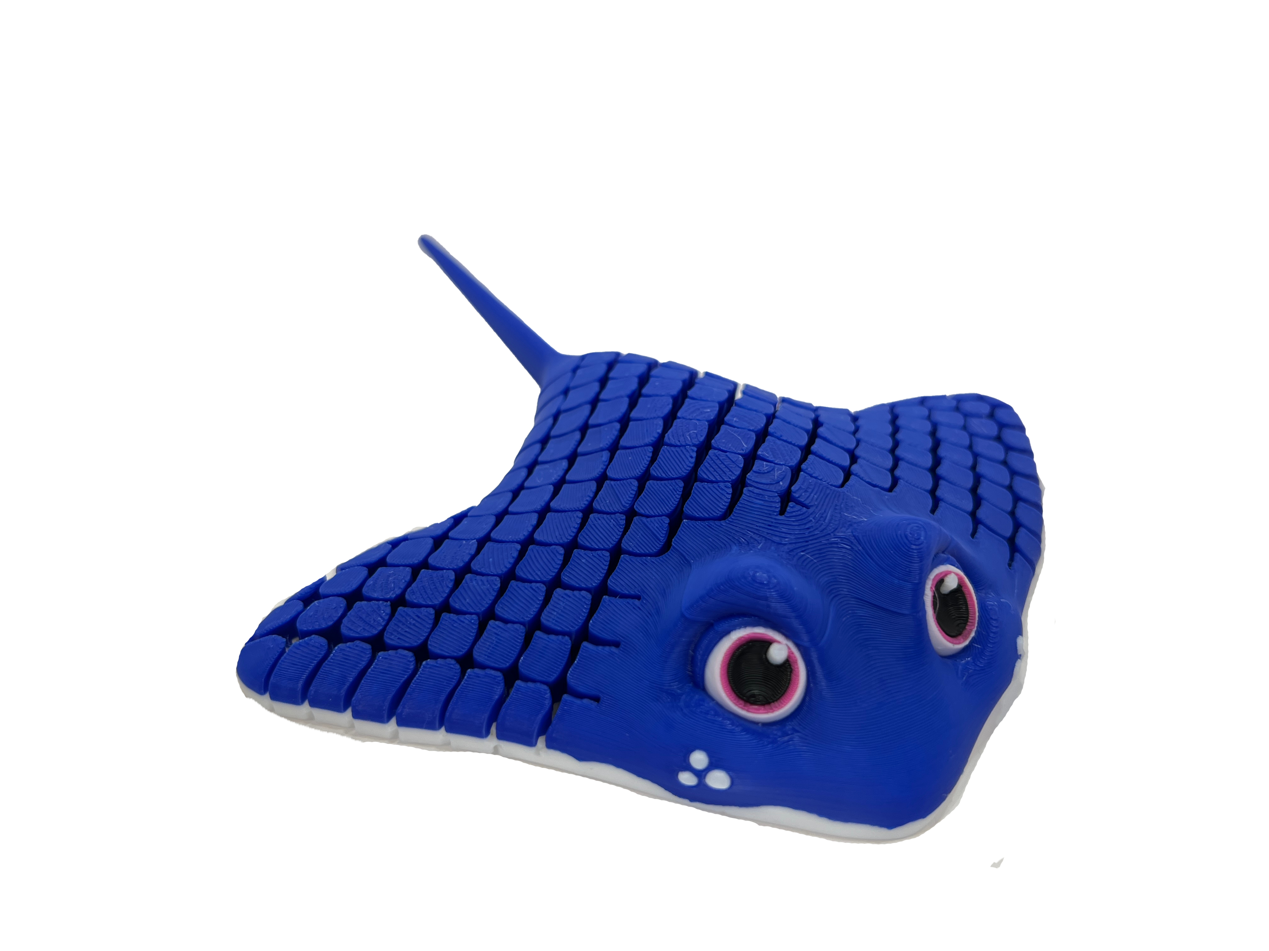 For the ocean lover